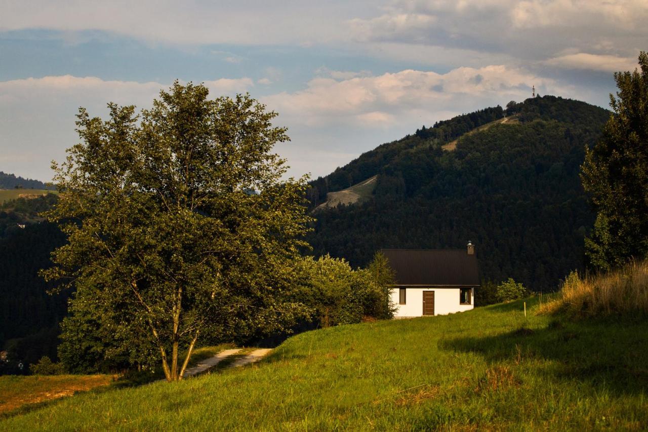 Domek Na Wierchach Piwniczna-Zdroj Buitenkant foto